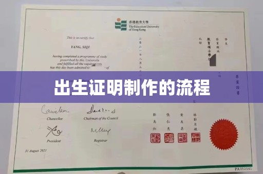 景东出生证明制作的流程
